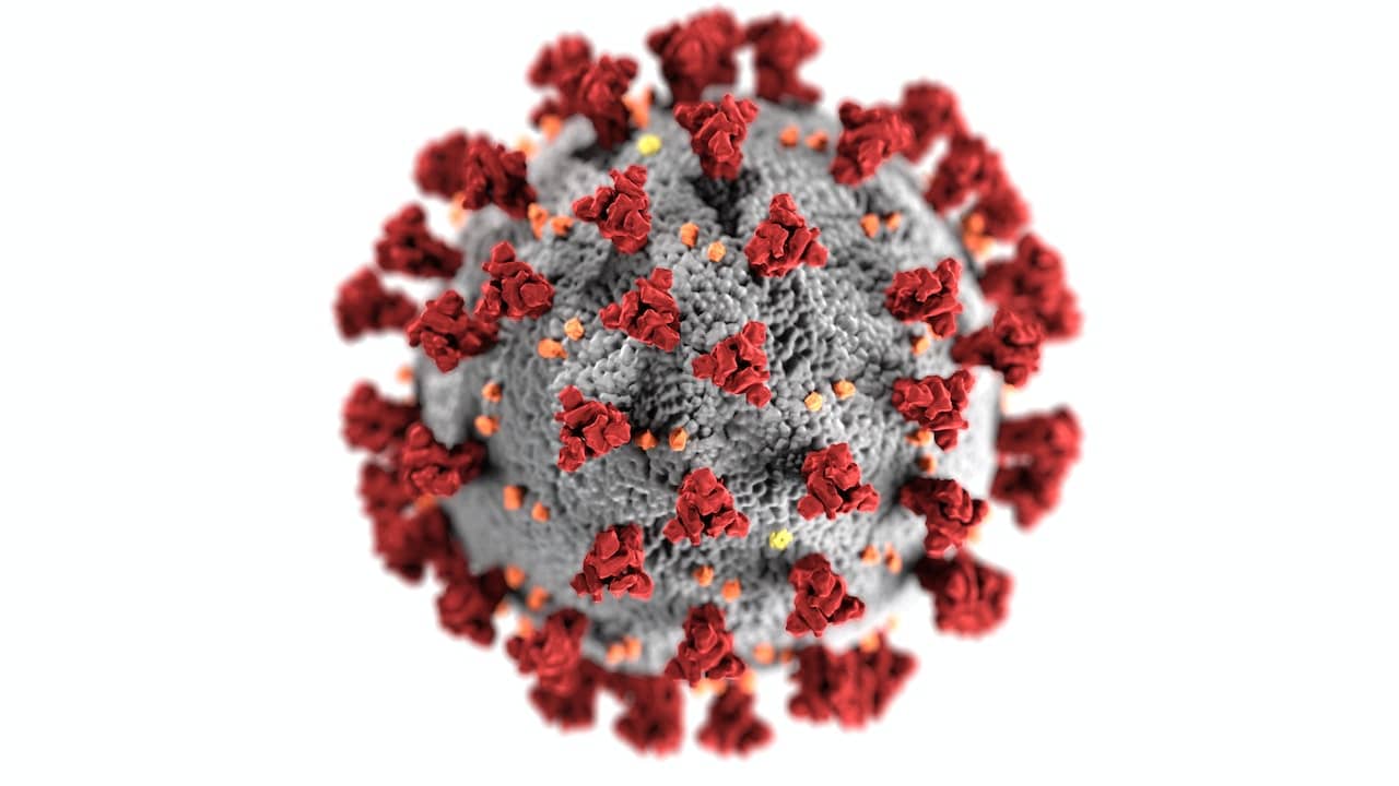Comment savoir si un homme est porteur du papillomavirus ?